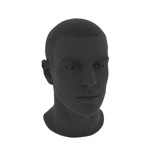 Реалистичная 3D модель мужской головы и шеи, представленная в нейтральном сером материале на белом фоне.