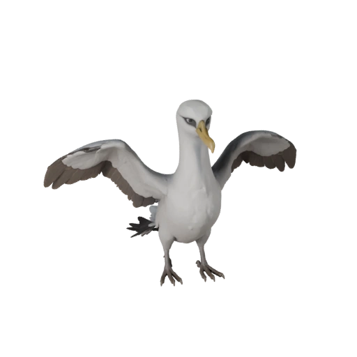 Реалистичный альбатрос 3D модель - rigged PBR ассет для игр | PBR
