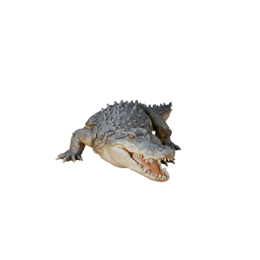 نموذج تمساح واقعي ثلاثي الأبعاد - أصل PBR مجهز للألعاب | PBR