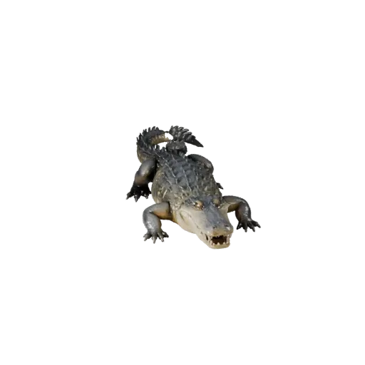 3D модель аллигатора, рендер дикой природы сбоку, готовый для Blender ассет животного со складками кожи, формами гребня на сп