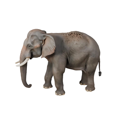 3D модель азиатского слона для Blender - PBR ресурс с текстурами