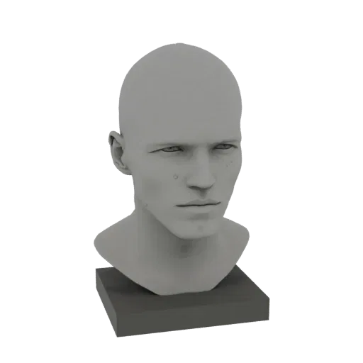 Рендер 3D модели реалистичного бюста мужской головы с детализированными чертами лица и простым основанием, представленный в н