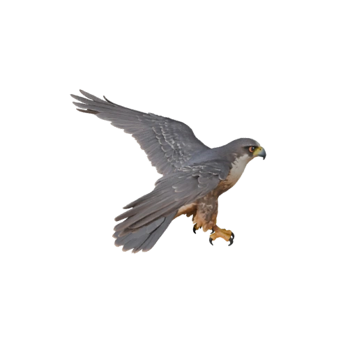 3D модель сапсана для Blender - PBR ресурс с текстурами