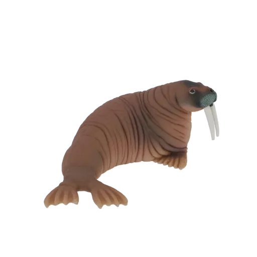 Детализированная 3D модель коричневого моржа с большими белыми бивнями на белом фоне.