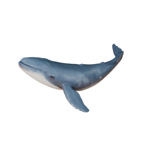 Белуха 3D модель для Blender - PBR ресурс с текстурами