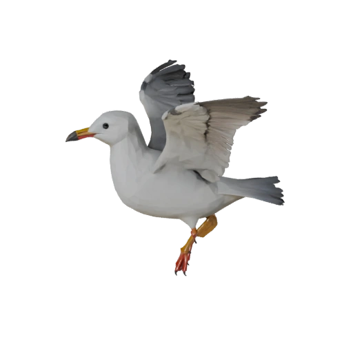 Низкополигональная 3D модель чайки - Игровой ассет для Unity с FBX | Бесплатно