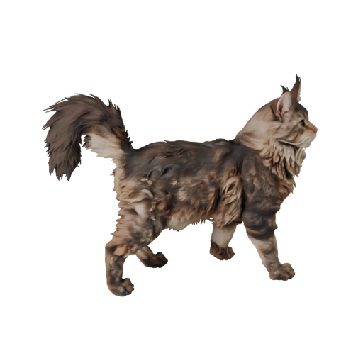 3D модель мейн-куна для Blender - PBR-ресурс с текстурами | PBR