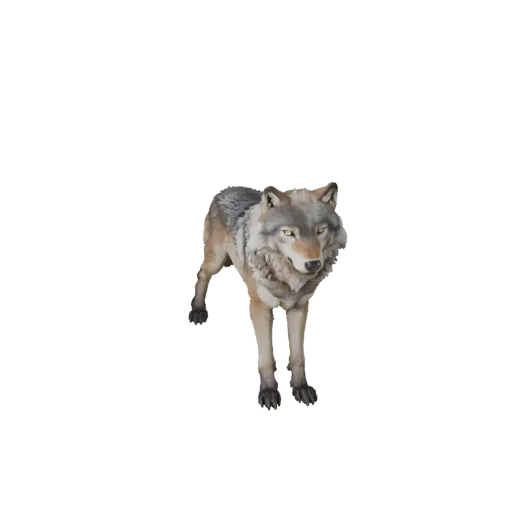 3D модель Arctic Wolf, вид сбоку игровой камеры, готовый для Unity ассет животного с направлением шерсти, объемом груди, стру