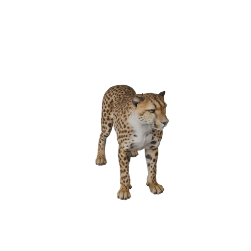 Реалистичная 3D-модель гепарда, рендер дикой природы сбоку, готовый к анимации ассет животного с подушечками усов, скольжение