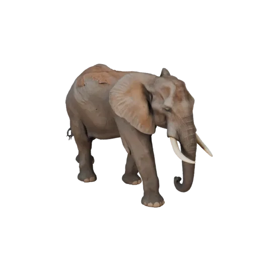 3D-модель африканского слона, вид сбоку в игровом ракурсе, готовый для Unity ассет животного с четкой анатомией, естественной