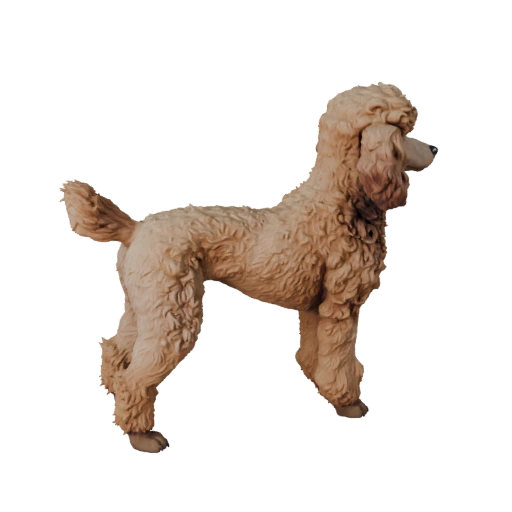 3D модель пуделя для Blender - PBR ассет с текстурами | PBR