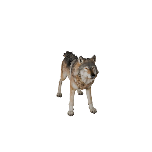 3D модель волка для Unity - Готовый игровой ассет, FBX | Бесплатно