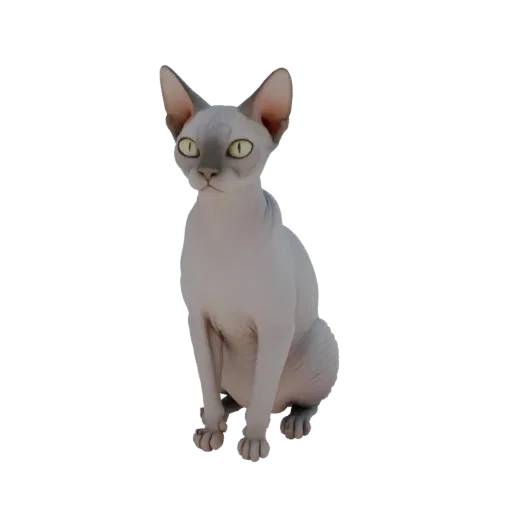3D модель сидящей кошки породы Сфинкс без шерсти с зелеными глазами на черном фоне