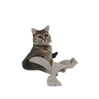 3D модель полосатого кота, сидящего с белой тканью, драпирующейся вокруг него, смотрящего на зрителя.