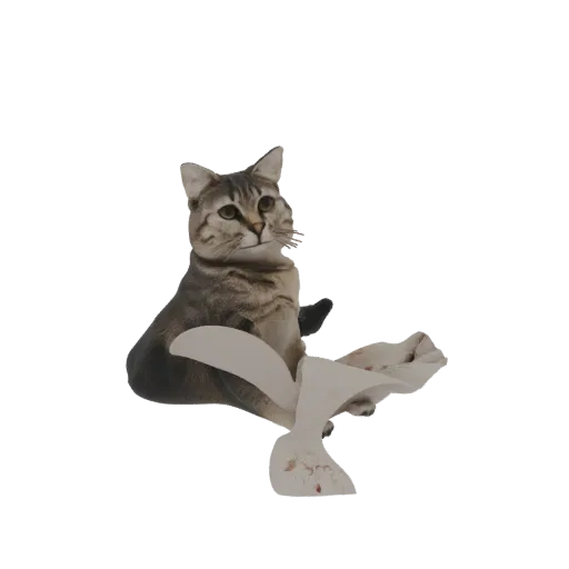3D модель полосатого кота, сидящего с белой тканью, драпирующейся вокруг него, смотрящего на зрителя.