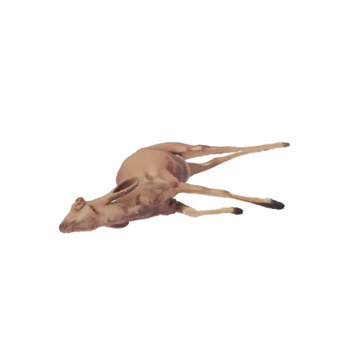 3D модель коричневого оленя, лежащего на боку с вытянутыми ногами, на белом фоне.