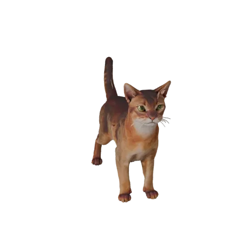 3D модель Абиссинской кошки, рендер дикой природы сбоку, готовый для Blender ассет животного с сужением челюсти, лопатками, д
