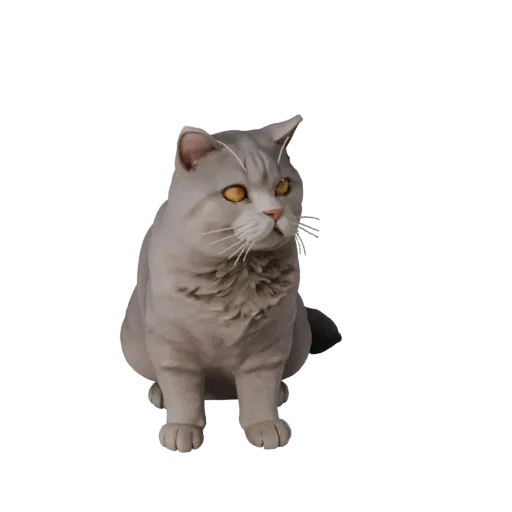 3D модель Британской короткошерстной, вид сбоку в игровом ракурсе, готовый для Unity ассет животного с балансом позы, анатоми
