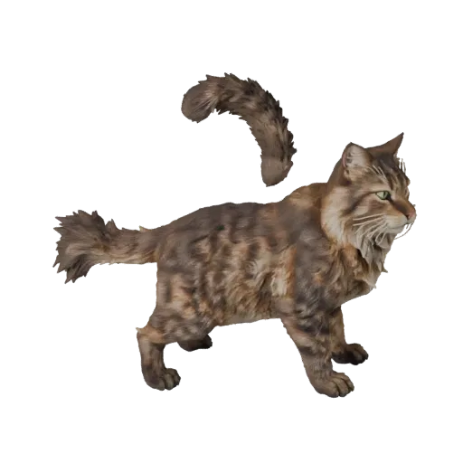 3D-модель Норвежской лесной кошки, вид сбоку игровой камеры, готовый к использованию в Unity ассет животного с сужением челюс