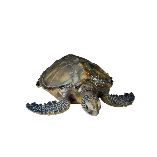 3D модель Морской Черепахи, рендер дикой природы в профиль, готовый для Blender ассет животного со складками кожи, формами сп