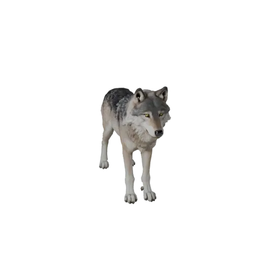 Реалистичная 3D модель арктического волка, рендер дикой природы сбоку, готовый к анимации ассет животного с ритмом ног, объем