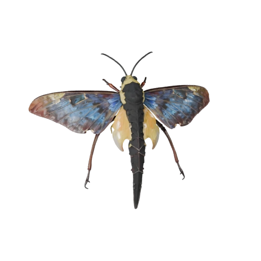 3D модель лунного мотылька для Unity - Готовый игровой ассет, FBX | Бесплатно