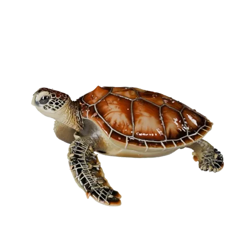 Низкополигональная 3D-модель морской черепахи, вид сбоку в игровом ракурсе, низкополигональный ассет животного с узорами панц