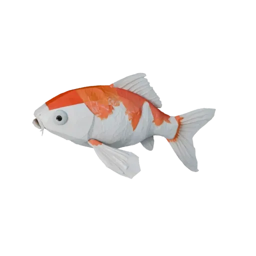 Низкополигональная 3D модель карпа кои, вид сбоку в игровой камере, низкополигональный ассет животного с реакцией кожи под во