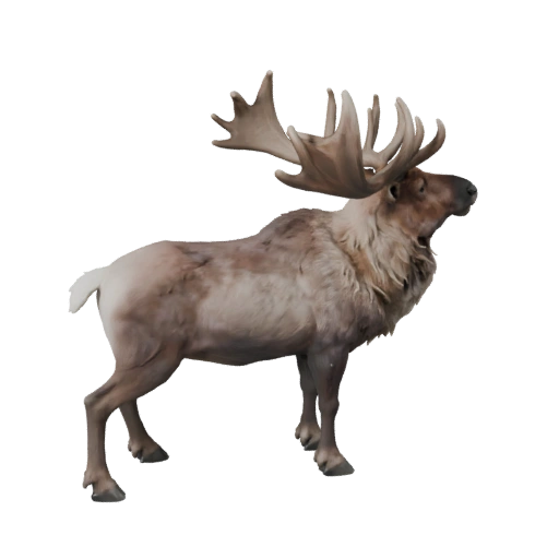 Северный олень 3D модель для Unity - Готовый игровой ассет, FBX | Бесплатно