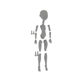 3D модель разобранных частей куклы Ball-Jointed Doll, включая голову, торс, руки и ноги, расположенные для сборки.