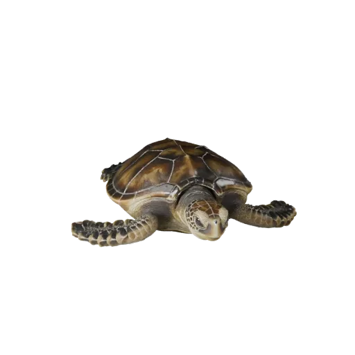 3D-модель морской черепахи STL с высоким полигонажем, изометрический вид, готовая к печати фигурка животного со складками кож