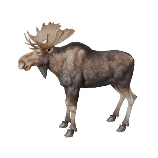 Реалистичный 3D Модель Лося - Rigged PBR Ассет для Игр | Бесплатно