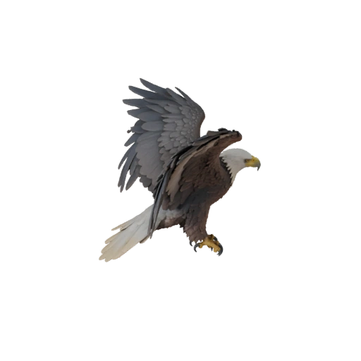 Белоголовый орлан 3D модель для Unity - Готовый игровой ассет, FBX | Бесплатно