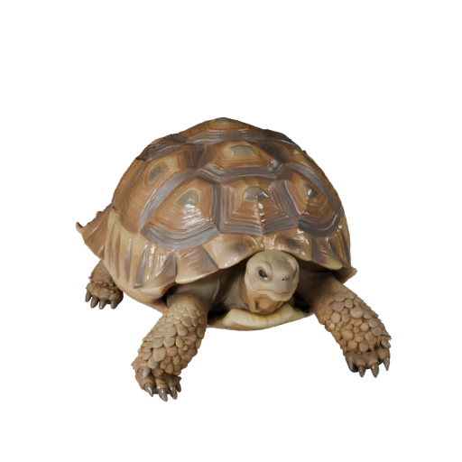 3D модель пустынной черепахи для Blender - PBR ресурс с текстурами