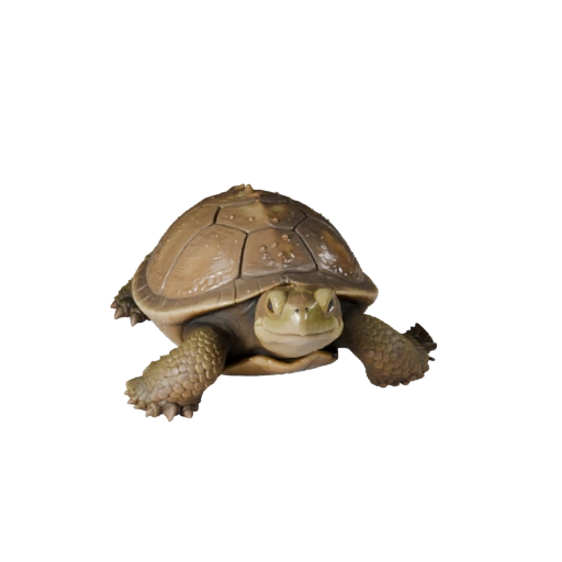 Высокополигональная 3D модель черепахи-касатки - Детальный STL актив для печати