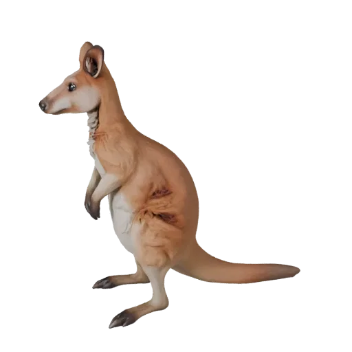 3D модель Wallaby, вид сбоку, рендер дикой природы, готовый для Blender ассет животного с четкой анатомией, естественной масс