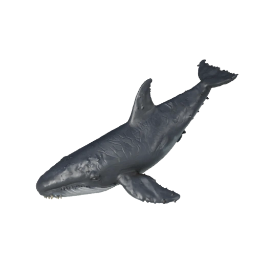 3D модель косатки для Unity - готовый игровой ассет, FBX | PBR