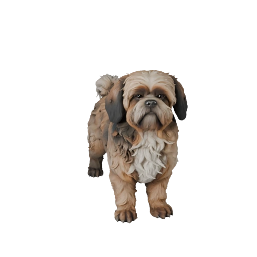 3D модель собаки Ши Тцу для Blender - PBR ресурс с текстурами