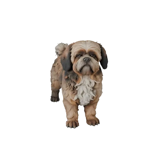 3D модель собаки Ши-тцу, вид сбоку, рендер дикой природы, готовый для Blender ассет животного с направлением шерсти, объемом