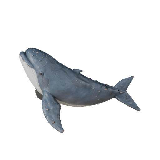 Мультяшная белуха 3D модель - Стилизованный ассет для анимации