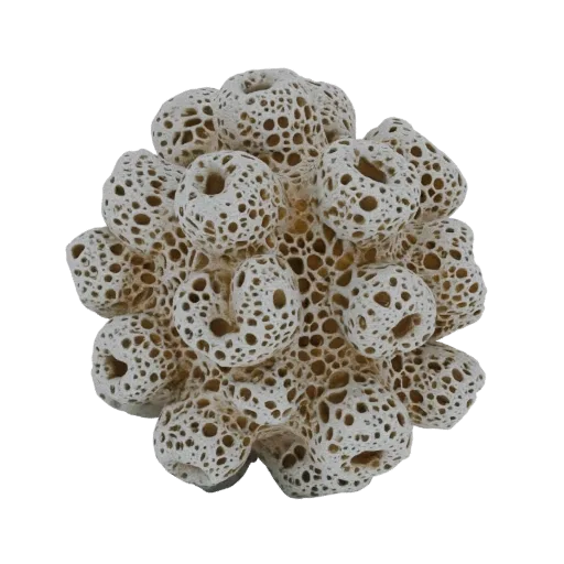 3D модель сложной, белой, пористой структуры коралла с множеством мелких отверстий и органическими, округлыми формами.