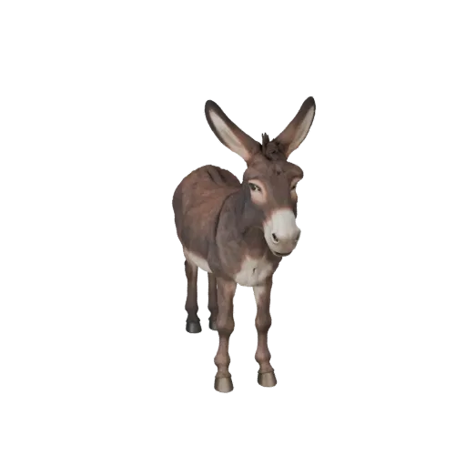 3D модель осла, вид сбоку, рендер дикой природы, готовый к использованию в Blender ассет животного с изгибом шеи, краями копы