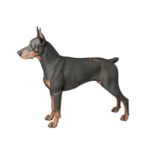 3D модель добермана пинчера для Unity - Готовый игровой ресурс, FBX