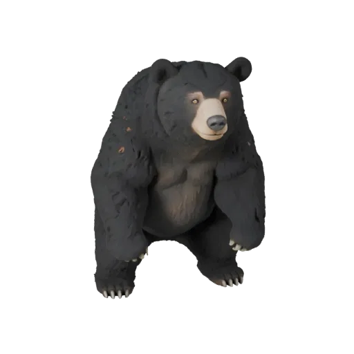 3D модель черного медведя, вид сбоку, рендер дикой природы, готовый для Blender ассет животного с объемом плеч, детализацией
