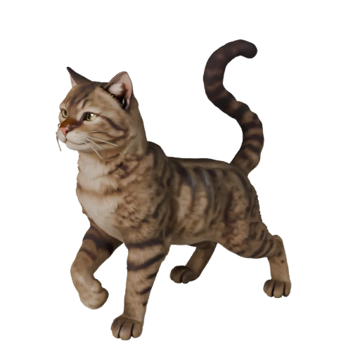 Реалистичный 3D Модель Кошки - Rigged PBR Ассет для Игр | Бесплатно