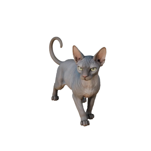 3D модель кота сфинкса для Unity - Готовый игровой ассет, FBX | Бесплатно