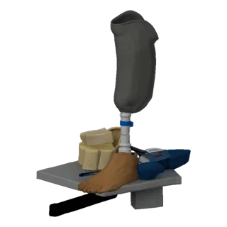 3D модель протеза ноги с реалистичной стопой и бежевыми анатомическими элементами на серой платформе, с ручкой.