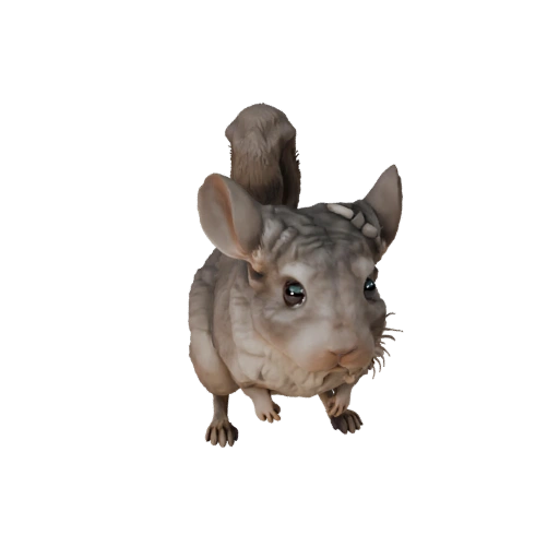 Modelo 3D de Chinchila Realista - Asset PBR Rigged para Jogos