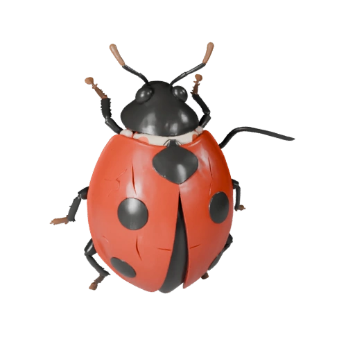 3D модель божьей коровки для Blender - PBR ресурс с текстурами | PBR