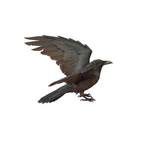 Модель вороны 3D для Unity - Готовый игровой ассет, FBX | Бесплатно